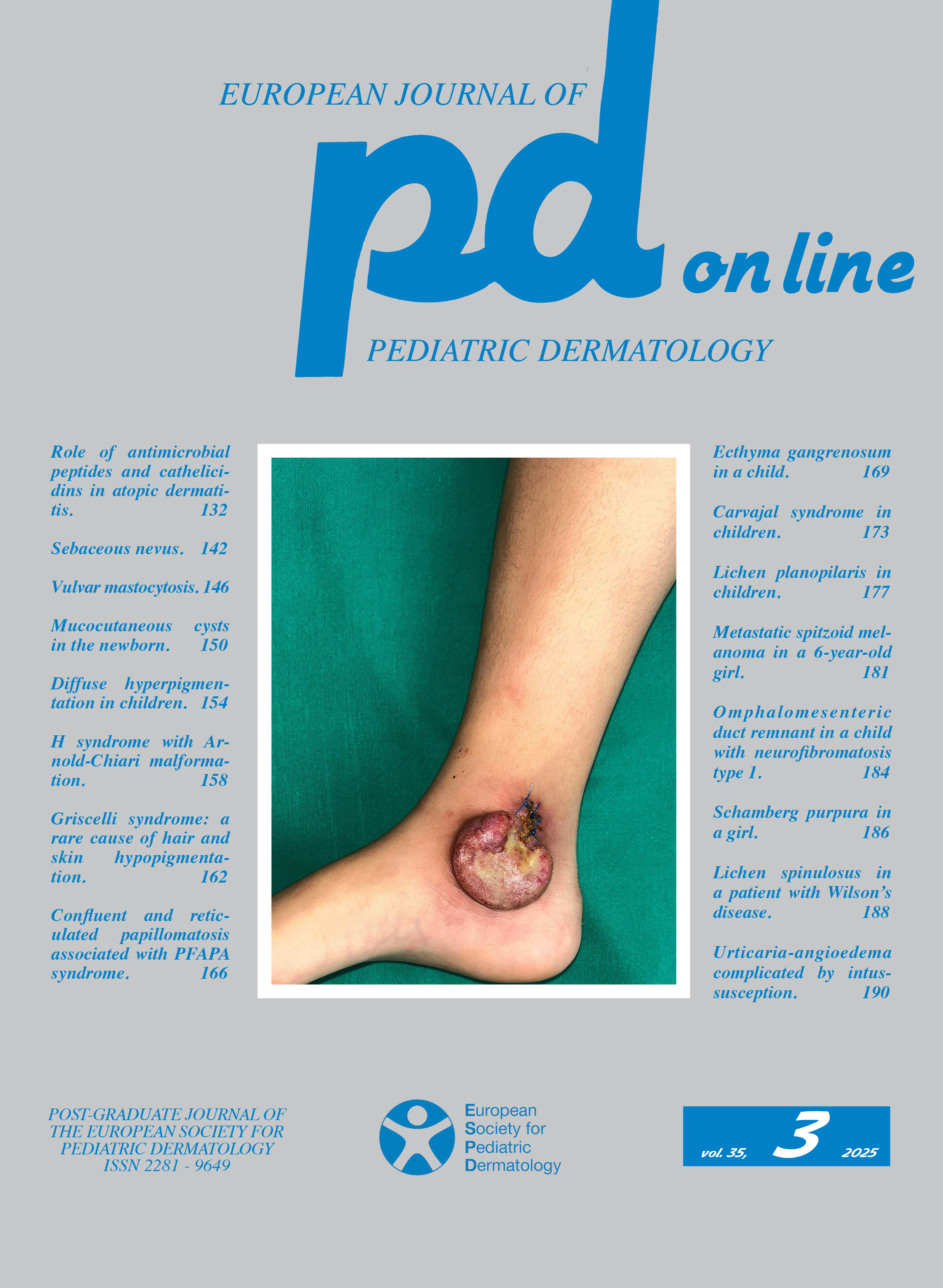 							View Vol. 35 No. 3 (2025)
						